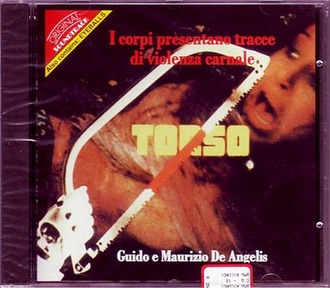 hw_torso1