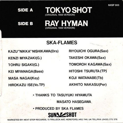 ska flames2
