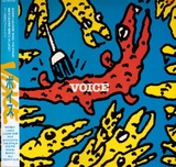 voice