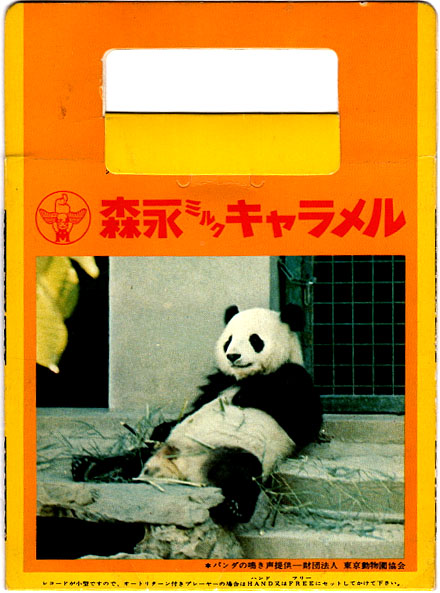 panda2