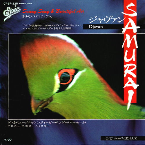 djavan_samurai