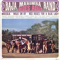 bajamarimba_rides