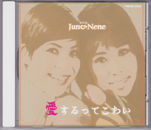 junnene_aisuruttekowai2005_1