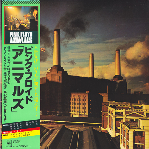 pink floyd5