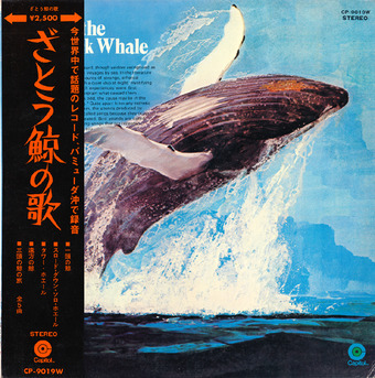 whale