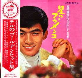 saigo teruhiko