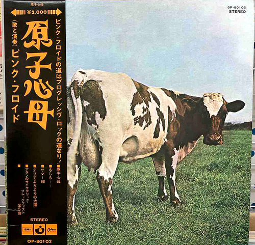 pink floyd1