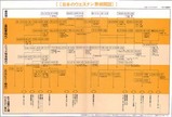japanese western_2
