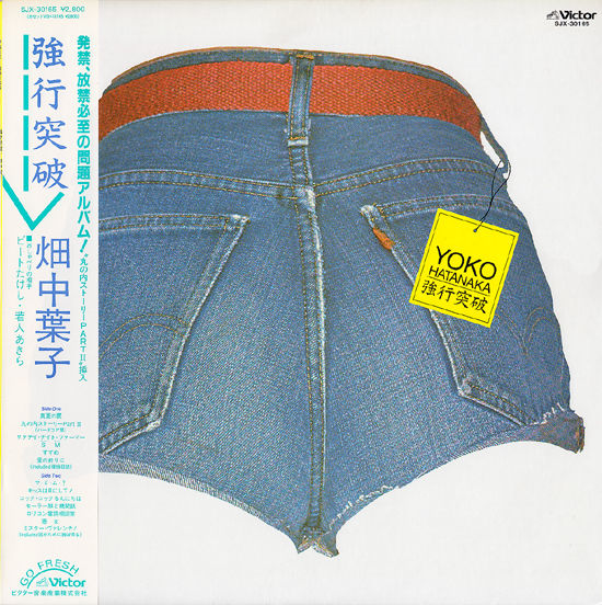 13年06月 中古レコ屋のあくび指南 のんびり音を聴きませう ナカ2号店のブログ