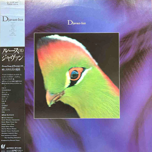 djavan1
