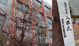 spring