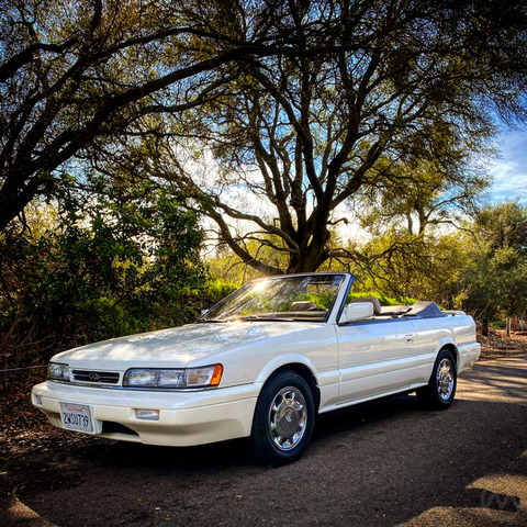 MarkM30_Front_IG-1024x1024