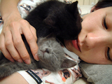 DSCF0348.jpg