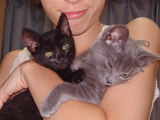 DSCF0373.jpg