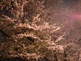 090406-03
