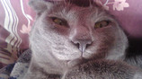 070626-02