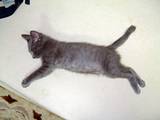 DSCF0403.jpg