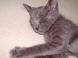DSCF0407.jpg