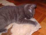 DSCF0371.jpg