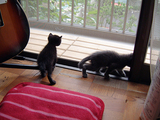 DSCF0325.jpg