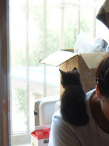 DSCF0339m.jpg