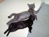 DSCF0383.jpg