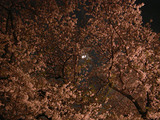 090406-01