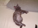 DSCF0386.jpg