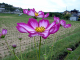 080927-02