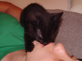 DSCF0369.jpg