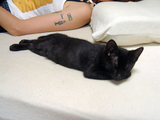 DSCF0410.jpg