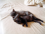DSCF0328.jpg
