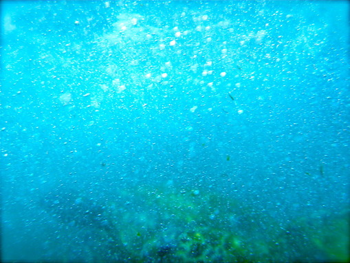 IMGP0395