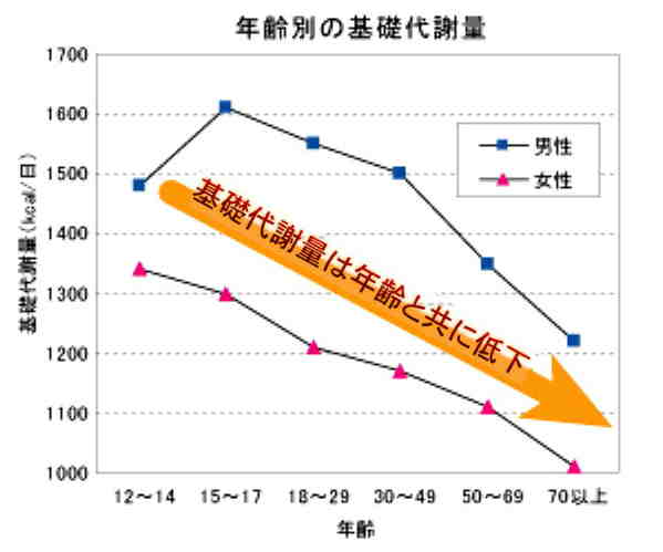 年齢別基礎代謝