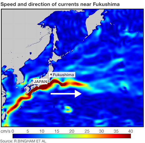 _51997069_japan_currents_464