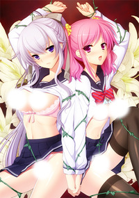 sei-shojo_package