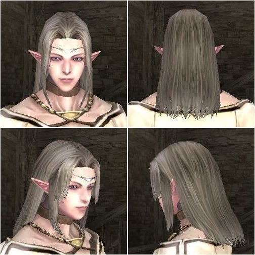 フェイス 髪型 エルフ男 バックアップ