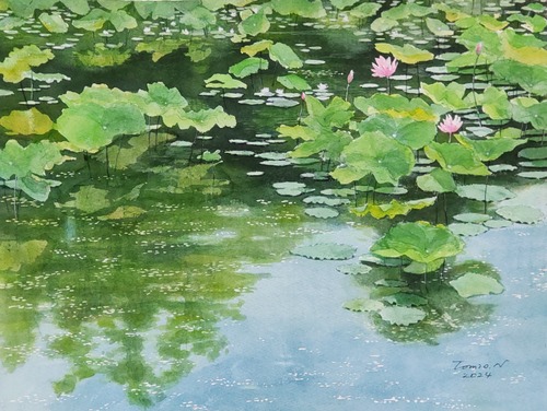 水彩画「蓮池」 睡蓮池 睡蓮はお気に入りのモチーフです。眺めていると心が浄化