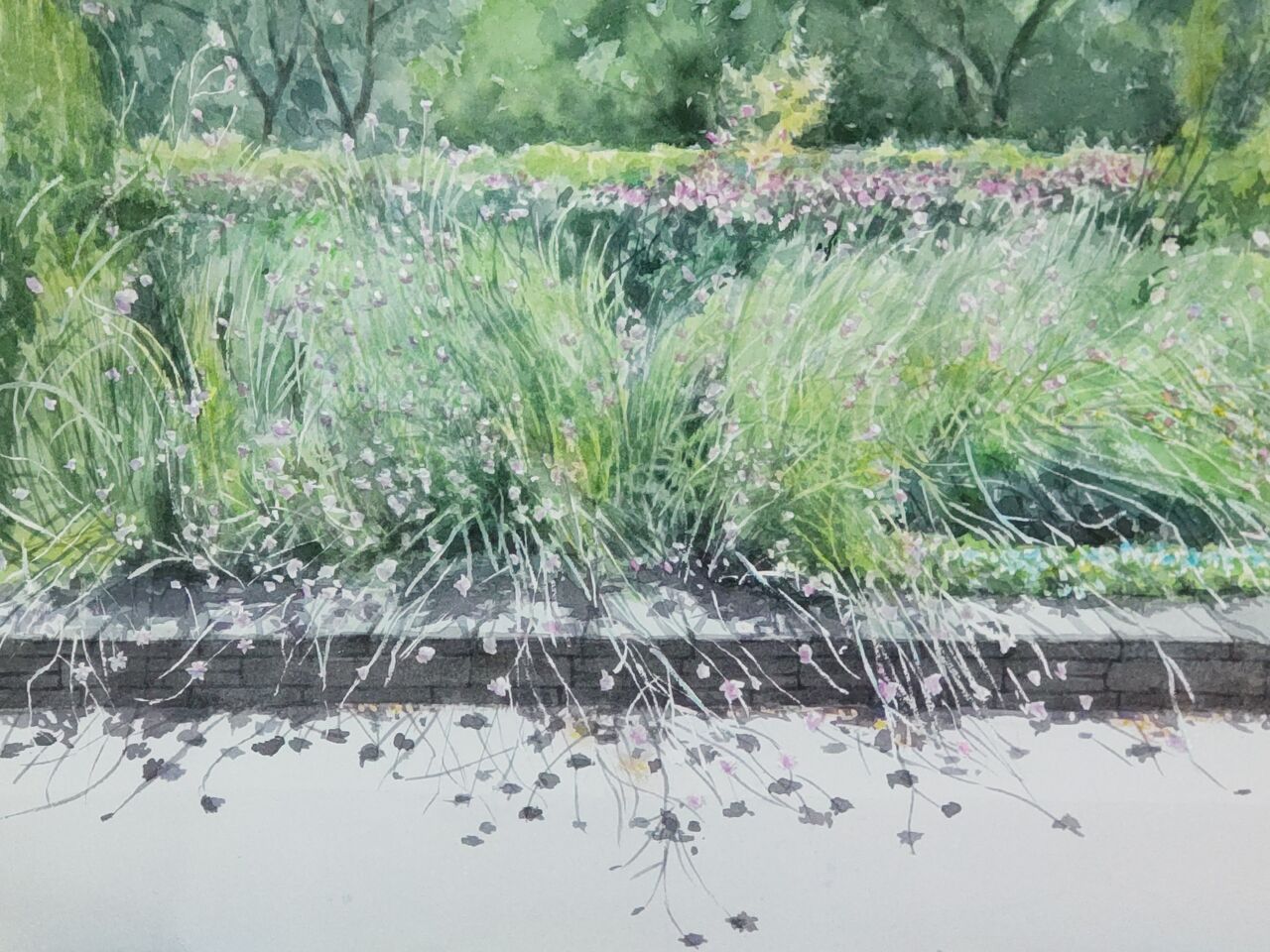 服部緑地公園 豊中市 とみをの水彩画だより