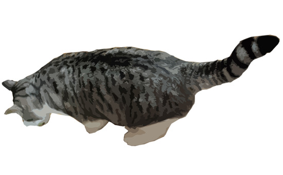 サバトラ