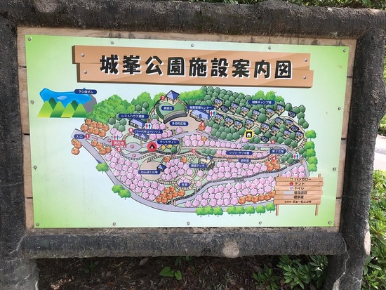 城峯公園寒桜 7