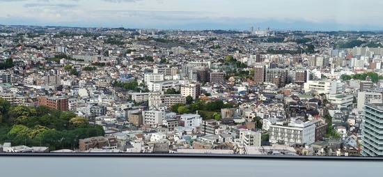 IMG_20260508_064820