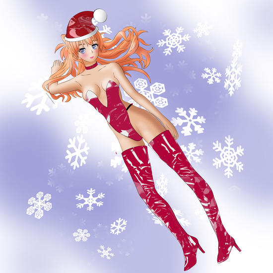 クリスマスイルミネーション 251225 4