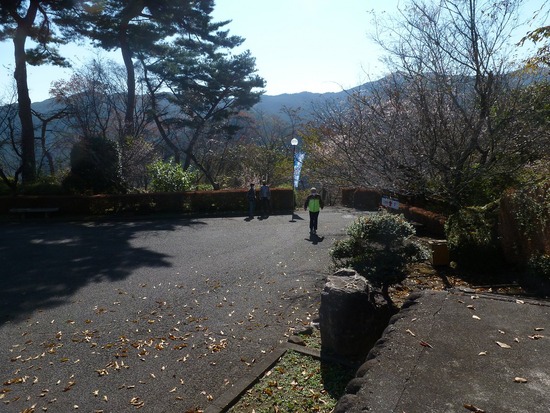 城峯公園寒桜 4