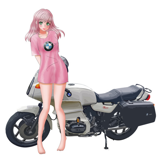 BMWR100RS