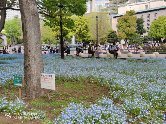 IMG_20210403_144734