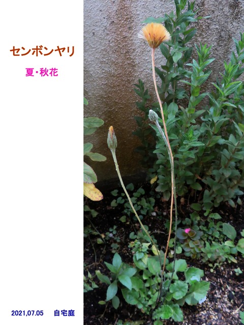 あ0あ0