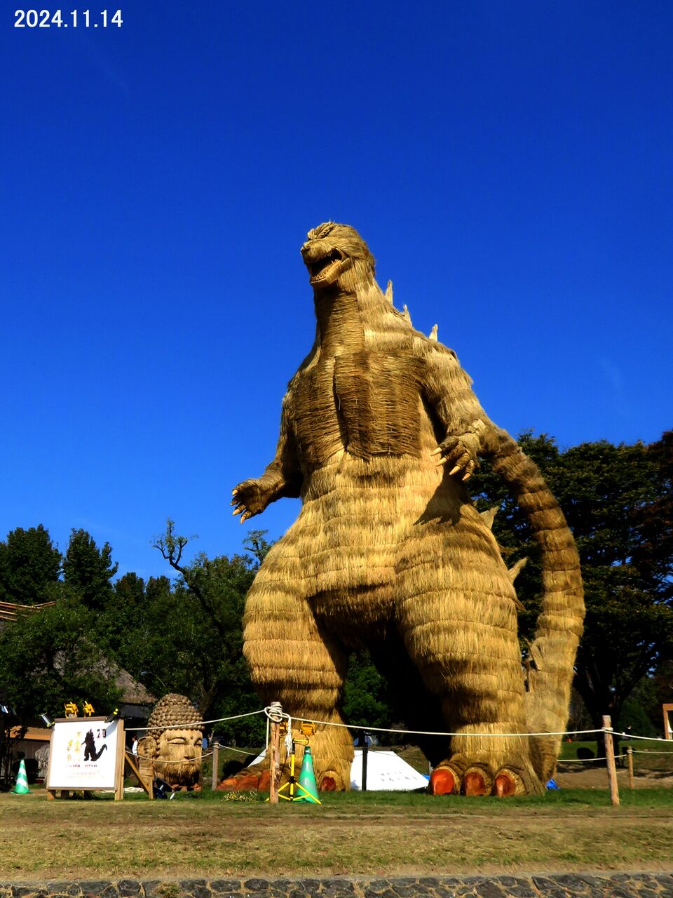 ≪新・旬の風 1159≫ 藁シンゴジラ 現る！ : 山川草木・動物