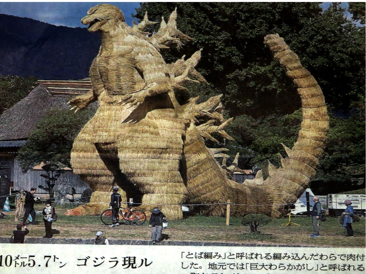 ≪新・旬の風 1159≫ 藁シンゴジラ 現る！ : 山川草木・動物