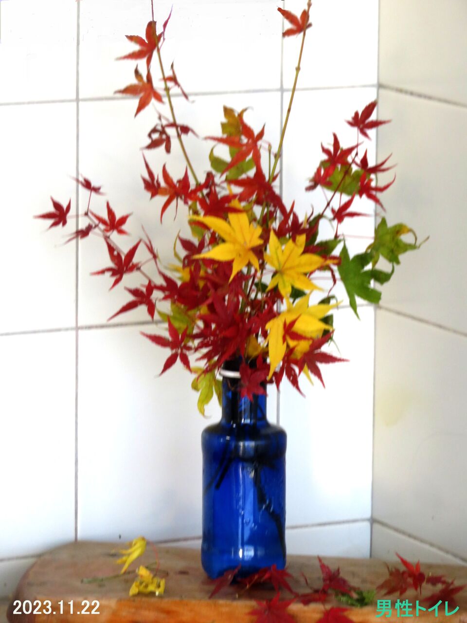 ≪新・旬の風 993≫ 霧島SAの人 : 山川草木・動物 歳時記 Ⅱ